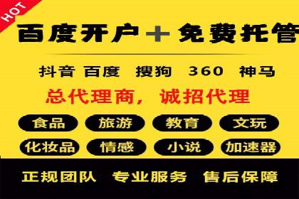 案例研究：SEM优化助力品牌知名度